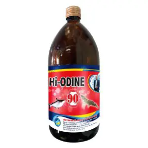 Cá Da Trơn Nước Ngọt: Đặc Điểm, Chăm Sóc Và Các Bệnh Thường Gặp