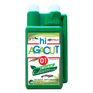 Cá Da Trơn Nước Ngọt: Đặc Điểm, Chăm Sóc Và Các Bệnh Thường Gặp