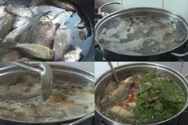 cá diếc là cá gì cá diếc là cá gì