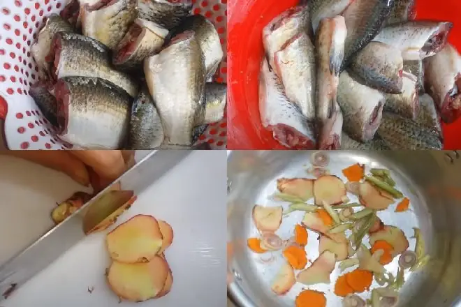 cá diếc là cá gì cá diếc là cá gì