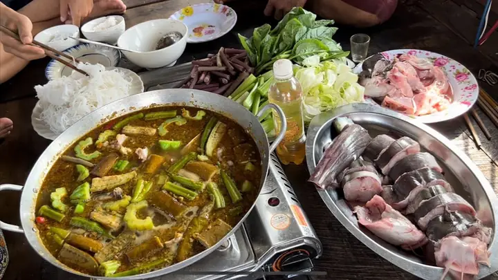 cá dồ là cá gì cá dồ là cá gì