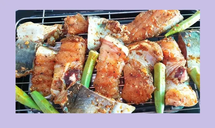 cá dồ là cá gì cá dồ là cá gì
