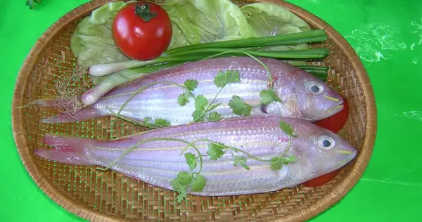 Cách nhận biết cá đổng tươi