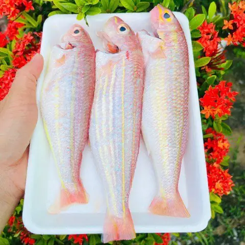 Giá cá đổng trên thị trường hiện nay