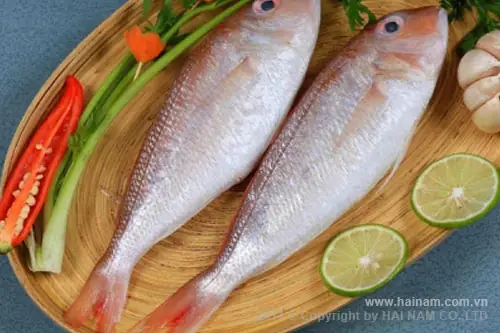 Cá Đổng Tiếng Anh Là Gì? Khám Phá Tên Gọi Và Đặc Điểm Cá Đổng Tiếng Anh Là Gì? Khám Phá Tên Gọi Và Đặc Điểm
