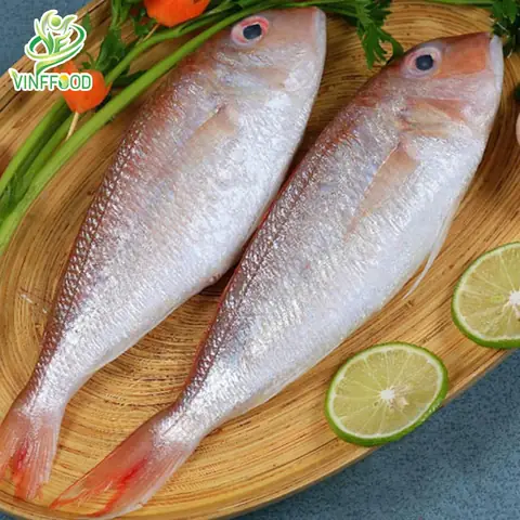 Cá Đổng và Cá Hường: Cẩm Nang Toàn Diện Từ Đặc Điểm Đến Món Ngon