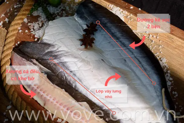 Khám Phá Cá Dứa Cần Giờ: Đặc Điểm & Giá Trị Khám Phá Cá Dứa Cần Giờ: Đặc Điểm & Giá Trị
