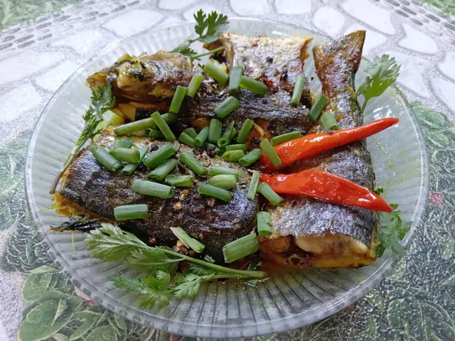 Cá Dũa Là Cá Gì? Đặc Điểm, Phân Loại Và Môi Trường Sống