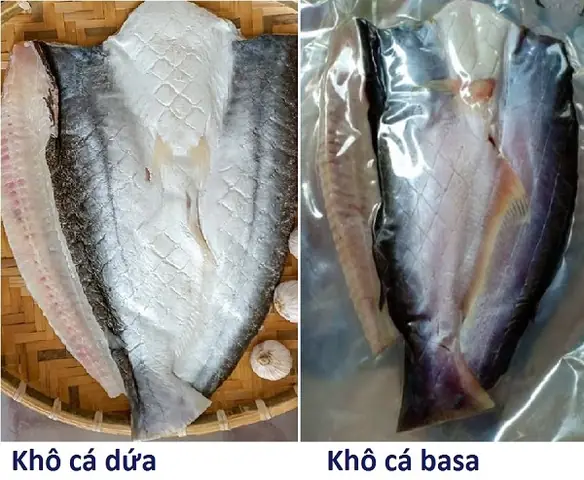 Cá Dứa và Cá Basa: Đặc điểm, giá trị và cách phân biệt chi tiết nhất