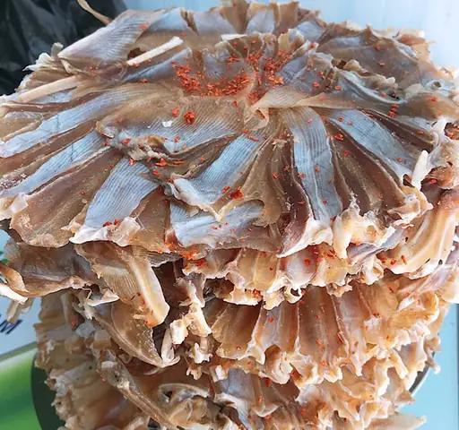 cá đuối có mấy loại
