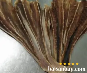 cá đuối tiếng anh