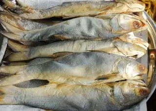Cá Đường Là Gì? Đặc Điểm, Cách Phân Biệt và Ý Nghĩa Cá Đường Là Gì? Đặc Điểm, Cách Phân Biệt và Ý Nghĩa