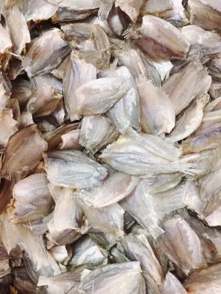 Cá Đường Là Gì? Đặc Điểm, Cách Phân Biệt và Ý Nghĩa Cá Đường Là Gì? Đặc Điểm, Cách Phân Biệt và Ý Nghĩa