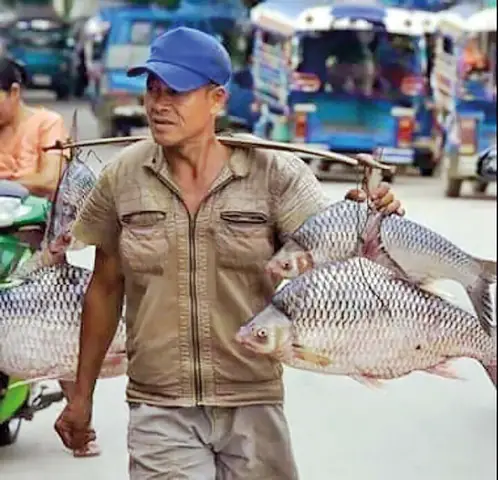 Cá Duồng Sông Đồng Nai: Đặc Điểm, Giá Trị & Cách Chế Biến Ngon
