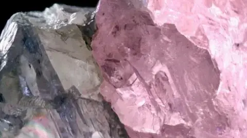 Cá Dương Vật California: Khám Phá Đặc Điểm và Giá Trị Sinh Vật Biển Độc Đáo Cá Dương Vật California: Khám Phá Đặc Điểm và Giá Trị Sinh Vật Biển Độc Đáo