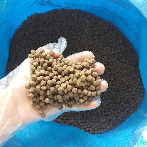 Cá Hải Tượng Ăn Gì Để Khỏe Mạnh và Phát Triển Tốt Nhất?