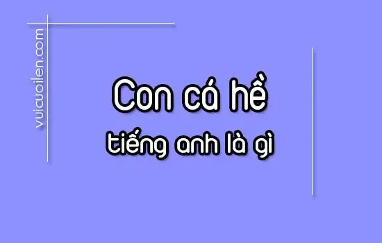 Clownfish: Giải Mã Tên Gọi Cá Hề Tiếng Anh & Hướng Dẫn Chi Tiết