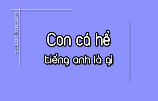 Cá Hề Tiếng Anh Là Gì? Khám Phá Tên Gọi Và Đặc Điểm