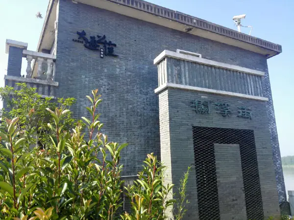 Cá Heo Sông Trường Giang: Biểu Tượng Sông Mẹ Đối Mặt Nguy Cơ Tuyệt Chủng Cá Heo Sông Trường Giang: Biểu Tượng Sông Mẹ Đối Mặt Nguy Cơ Tuyệt Chủng