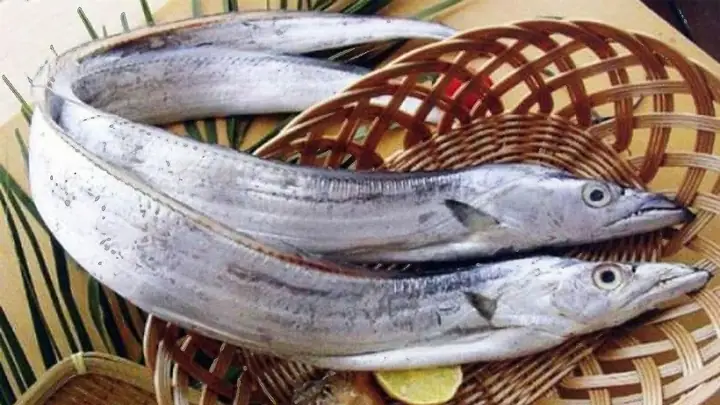 Cá Hố Tiếng Anh Là Gì? Tìm Hiểu Đặc Điểm Và Giá Trị
