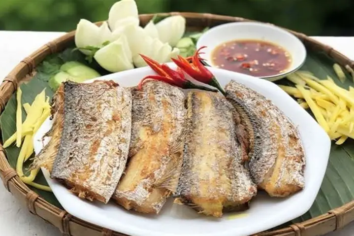 Cá Hố Tiếng Anh Là Gì? Tìm Hiểu Đặc Điểm Và Giá Trị