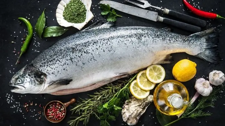 Cá Hồi Sống Ở Đâu? Khám Phá Môi Trường Sống Tự Nhiên & Nuôi Trồng