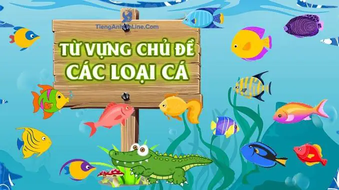cá hồi tiếng anh là gì