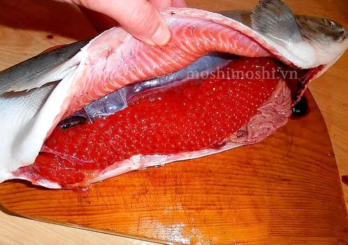 Cá hồi Trung Quốc: Hiểu rõ về mô hình nuôi Su Hai No 1