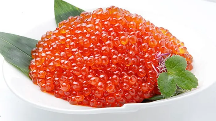 Cá hồi Trung Quốc: Hiểu rõ về mô hình nuôi Su Hai No 1