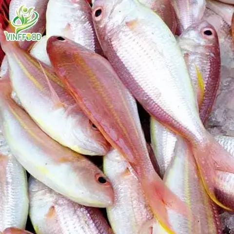 cá hường nước ngọt