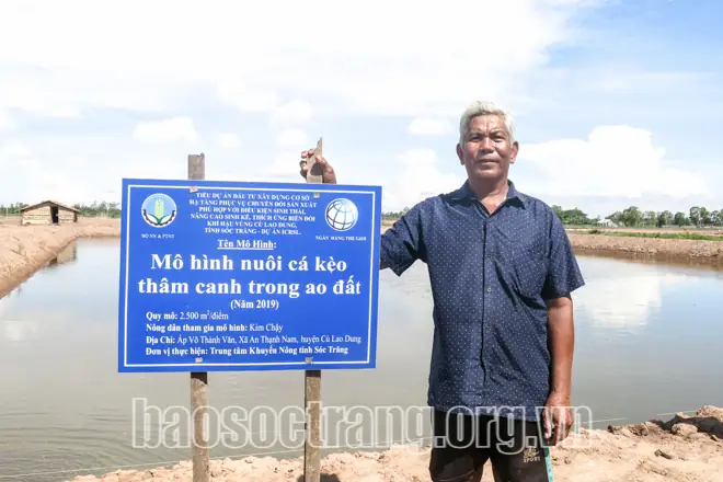 Kỹ thuật nuôi cá kèo Sóc Trăng đạt năng suất cao