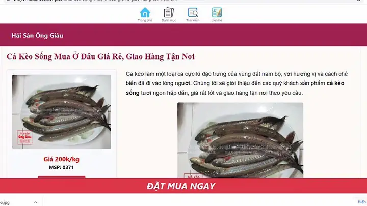 Cá Kèo Sống Ở Đâu? Môi Trường, Phân Bố Và Giá Trị Chi Tiết