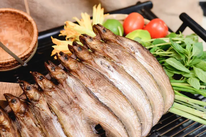 Phân biệt Cá Kết và Cá Trèn: Đặc điểm, Môi trường sống và Giá trị