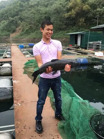 Cá Khủng Sông Đà: Thực Hư Những Loài 'Thủy Quái' Và Hiện Trạng Bảo Tồn Cá Khủng Sông Đà: Thực Hư Những Loài 'Thủy Quái' Và Hiện Trạng Bảo Tồn