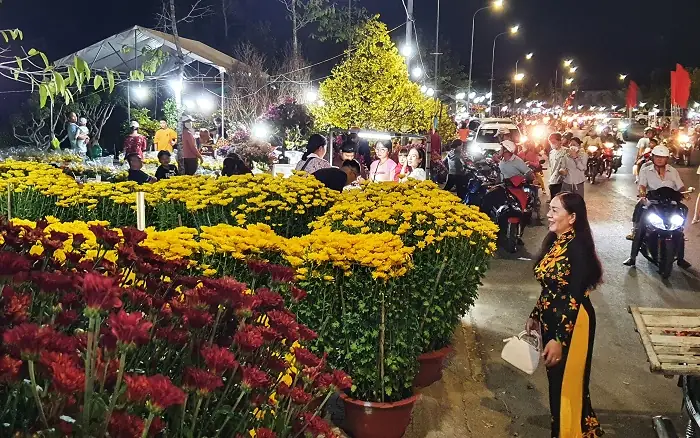 Cá Kiểng Cà Mau: Đặc Điểm và Hướng Dẫn Nuôi Hiệu Quả