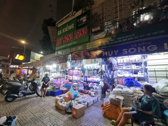 Cá Kiểng Nguyễn Thông Có Gì Đặc Biệt? Hướng Dẫn Mua Sắm Chi Tiết