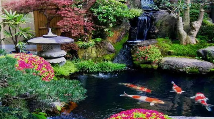 Sân vườn tiểu cảnh: