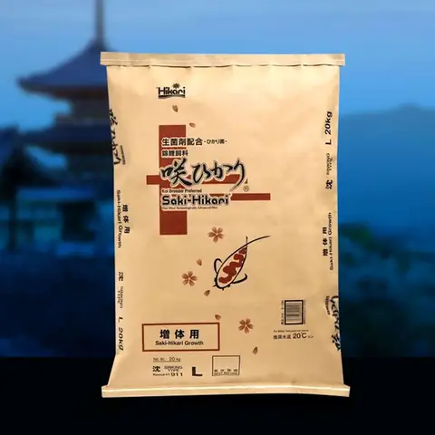 Cá Koi Bị Lở Miệng: Nguyên Nhân, Cách Điều Trị Và Phòng Ngừa Hiệu Quả Cá Koi Bị Lở Miệng: Nguyên Nhân, Cách Điều Trị Và Phòng Ngừa Hiệu Quả