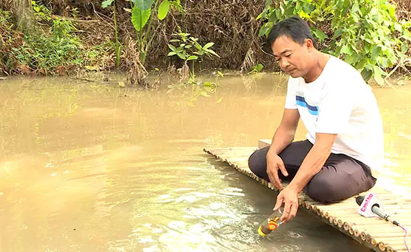 Cá Koi bú bình: Tại sao và Làm thế nào để huấn luyện?
