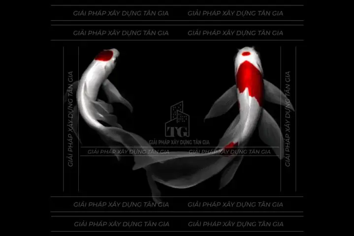 Cá Koi Bướm Mini: Tổng Hợp Đặc Điểm, Giá Và Cách Chăm Sóc