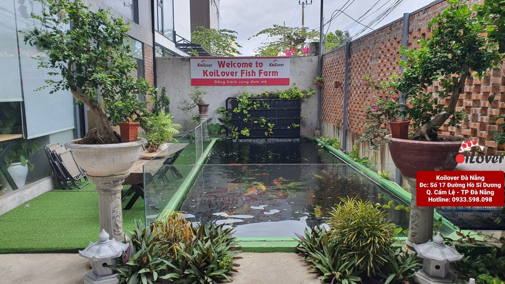 Cá Koi chất lượng tại Koilover Đà Nẵng