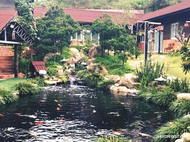 Cá Koi Đà Lạt: Trải Nghiệm Độc Đáo Tại KOI Homestay Cá Koi Đà Lạt: Trải Nghiệm Độc Đáo Tại KOI Homestay