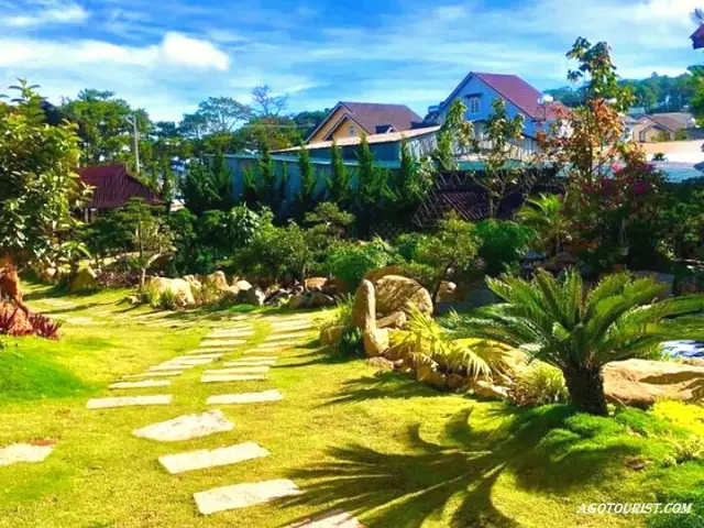 Cá Koi Đà Lạt: Trải Nghiệm Độc Đáo Tại KOI Homestay Cá Koi Đà Lạt: Trải Nghiệm Độc Đáo Tại KOI Homestay