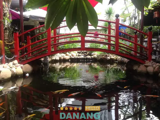 Cá Koi Đà Nẵng: Hướng Dẫn Chọn Quán Cafe Thư Giãn Lý Tưởng
