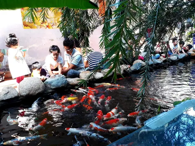 Cẩm nang chi tiết về các quán cà phê cá Koi Nha Trang