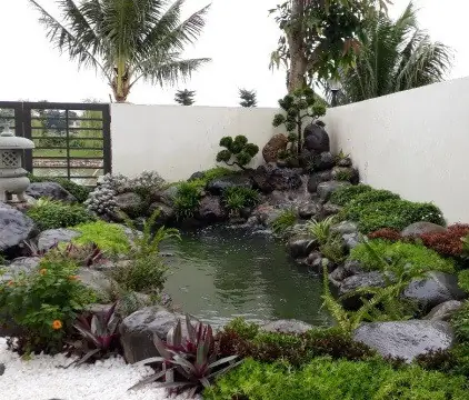Cá Koi Nhật Mini: Đặc Điểm, Cách Nuôi & Chăm Sóc Đúng Chuẩn