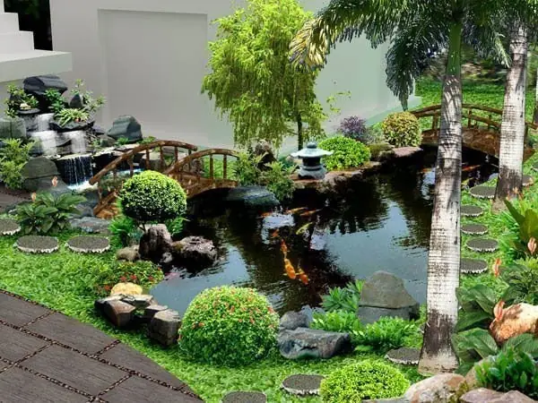 Cá Koi Nhật Mini: Đặc Điểm, Cách Nuôi & Chăm Sóc Đúng Chuẩn