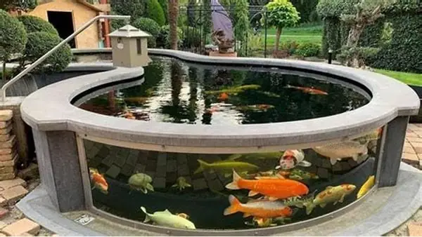 Cá Koi Nhảy Ra Khỏi Hồ: Nguyên Nhân, Cách Khắc Phục & Phòng Ngừa Hiệu Quả