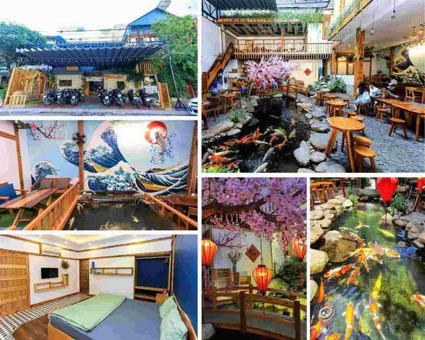 Khám Phá Những Quán Cafe Cá Koi Quy Nhơn Đẹp và Độc Đáo