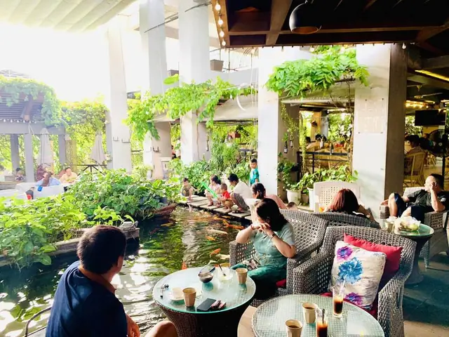 Khám Phá Những Quán Cafe Cá Koi Quy Nhơn Đẹp và Độc Đáo